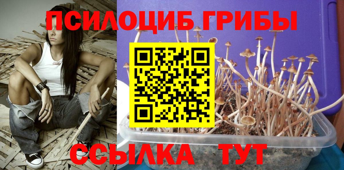 Галлюциногенные грибы MAGIC MUSHROOMS Усть-Лабинск